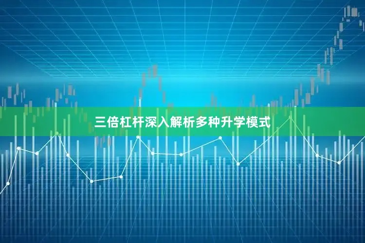 三倍杠杆深入解析多种升学模式