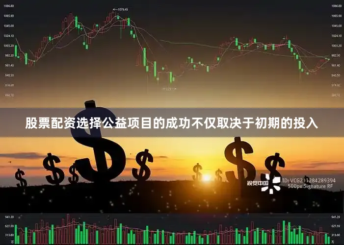 股票配资选择公益项目的成功不仅取决于初期的投入