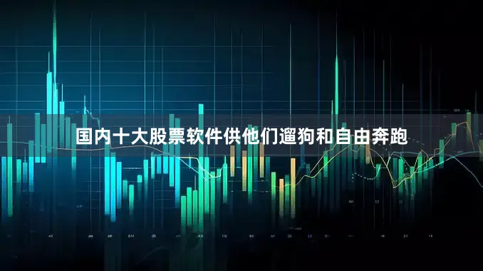 国内十大股票软件供他们遛狗和自由奔跑