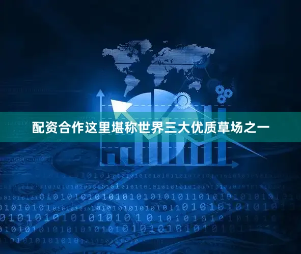 配资合作这里堪称世界三大优质草场之一