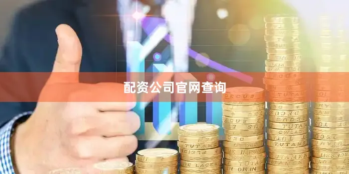 配资公司官网查询