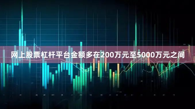 网上股票杠杆平台金额多在200万元至5000万元之间