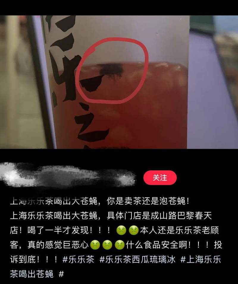 乐乐茶奶茶变成“苍蝇汤”？刚宣布放开加盟又现食安问题(图2)