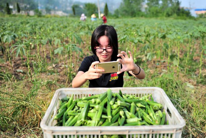 TVT体育app下载我28岁每天一杯奶茶体重188为了戒奶茶回到了农村老家(图5)