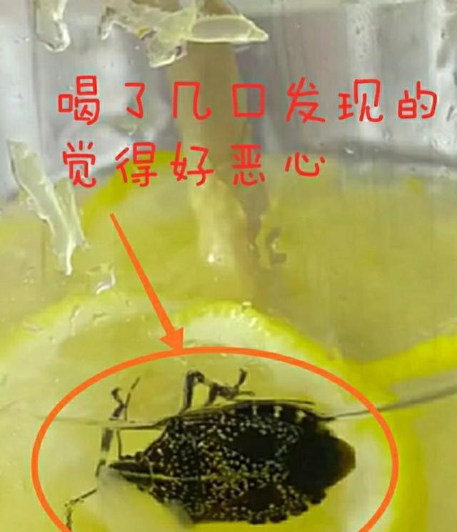 女子称喝蜜雪冰城杯内现臭虫店员当场销毁证据：给你500元算了(图1)