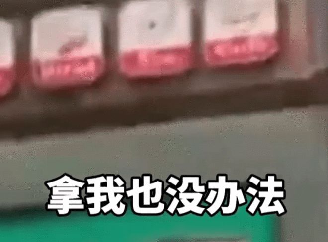 TVT体育四川14岁少年被高中生勒索后跳江身亡涉事学生扬言：拿我没办法(图2)