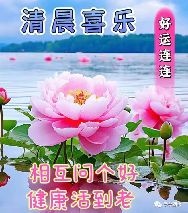 ８月１９日早安漂亮图片问候祝福语早安图片唯美暖心的问候表情图片(图3)