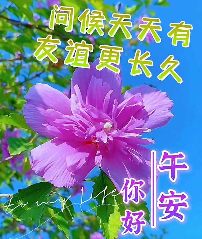 ８月１９日早安漂亮图片问候祝福语早安图片唯美暖心的问候表情图片(图7)