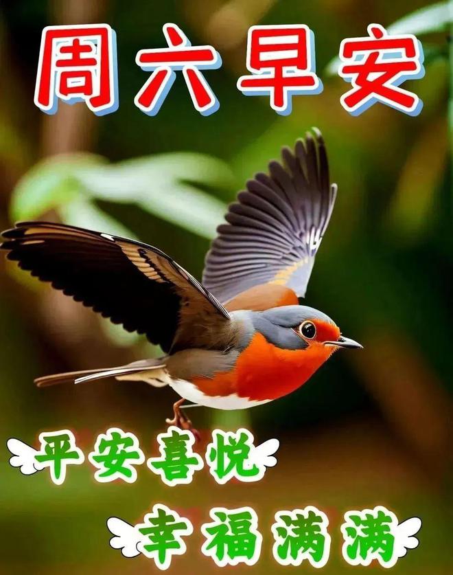 ８月１９日早安漂亮图片问候祝福语早安图片唯美暖心的问候表情图片(图8)